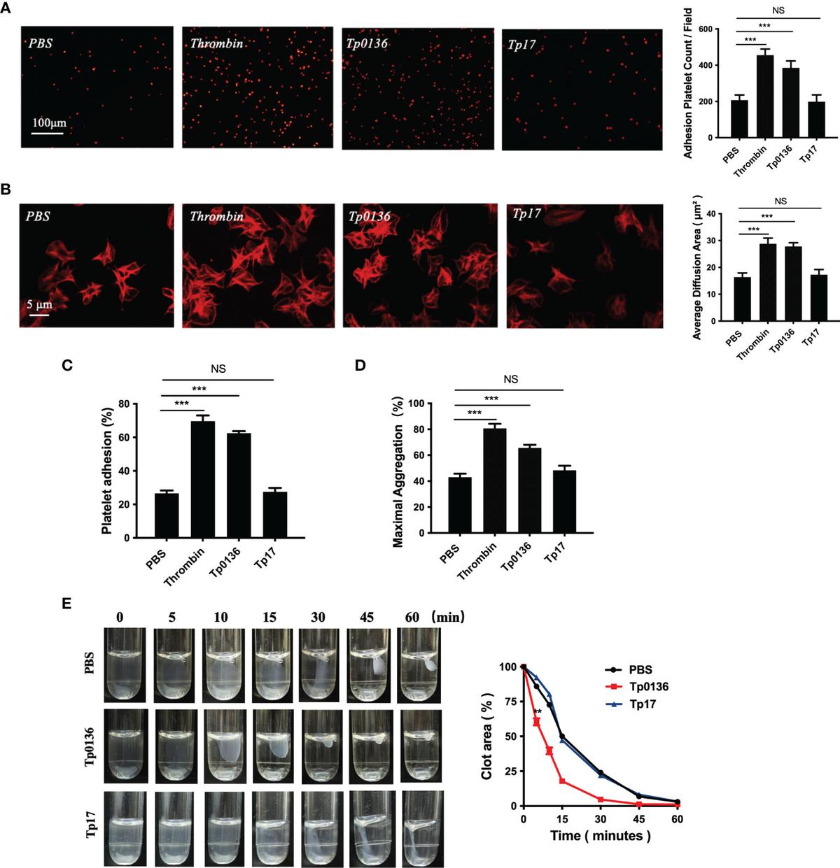 【公式】フジのお歳暮・冬ギフト | Frontiers The Stimulates Tp0136 Lipoprotein Membrane Outer アート・デザイン・音楽
