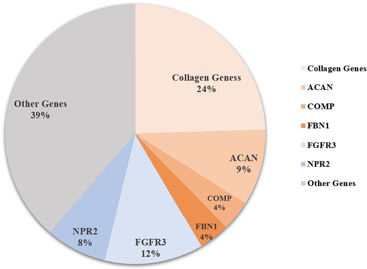 Frontiers | Clinical Characteristics of Short-Stature