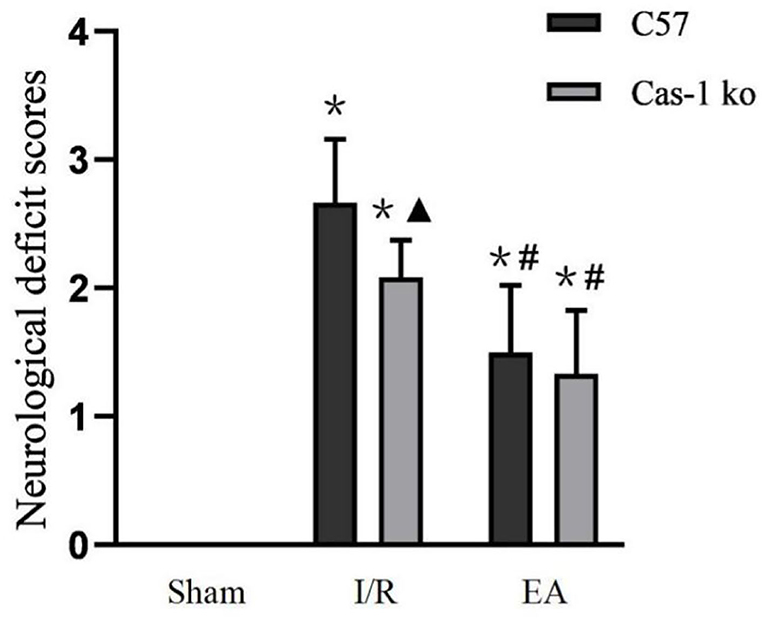 Frontiers | Mechanism of Electroacupuncture Against Cerebral