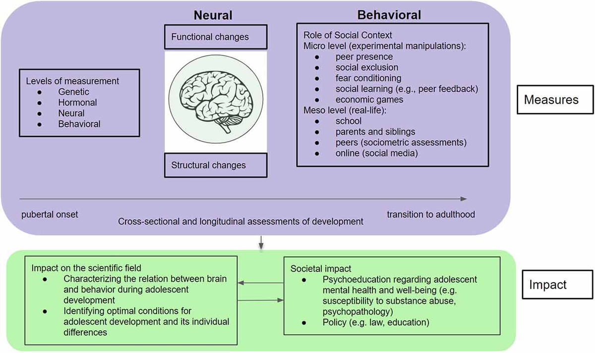 Mental development in adolescence outlet