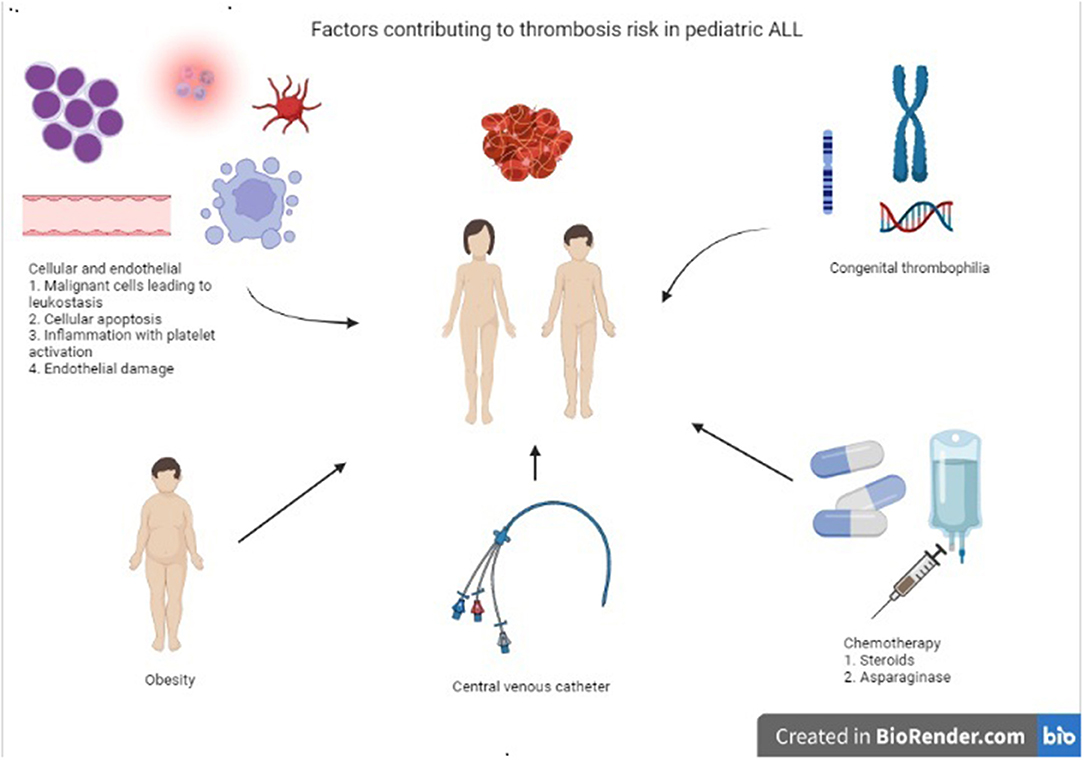 限定アウトレットセール：通販 Frontiers | Thrombosis Complications in Pediatric Acute 語学+参考書