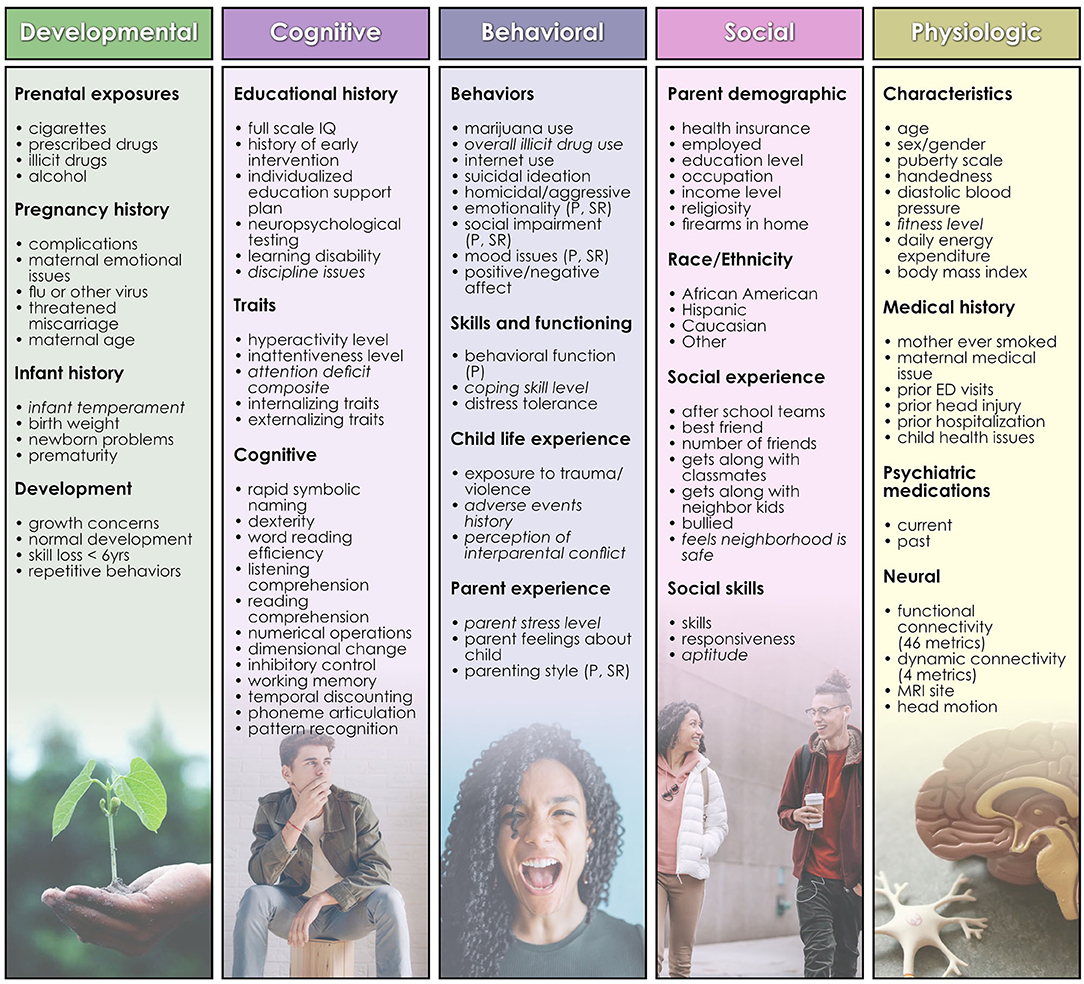 Frontiers | Integrated Evolutionary Learning: An Artificial