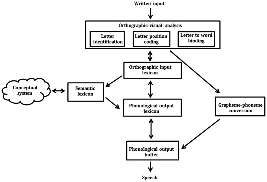 洋書 The Axiomatic Method in Phonology Axiomatic Formal Ontology | SpringerLink