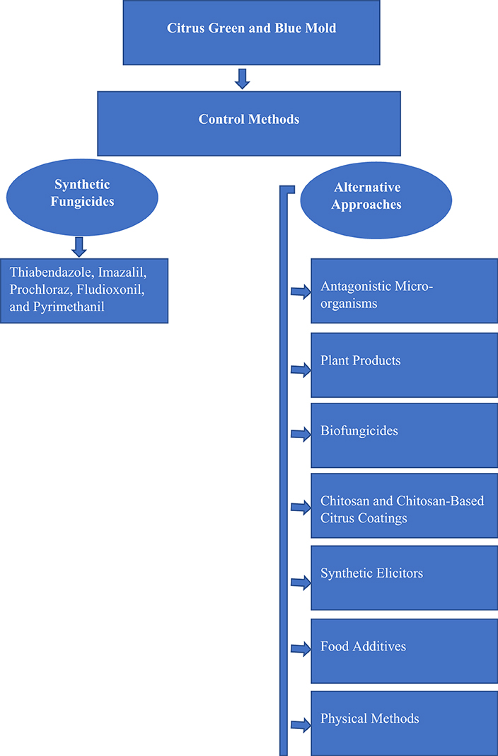 Frontiers | Alternative Management Approaches of Citrus