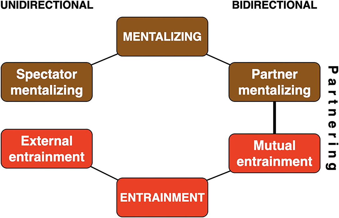 Frontiers | Partnering Up: The Social Cognition of Partnered
