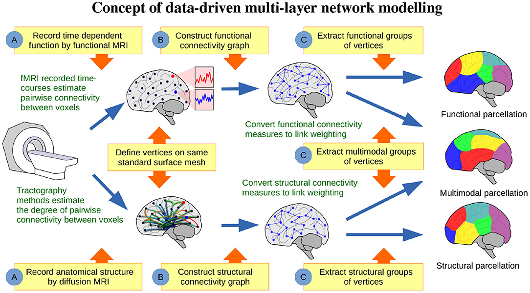 Frontiers | Uncovering Cortical Units of Processing From