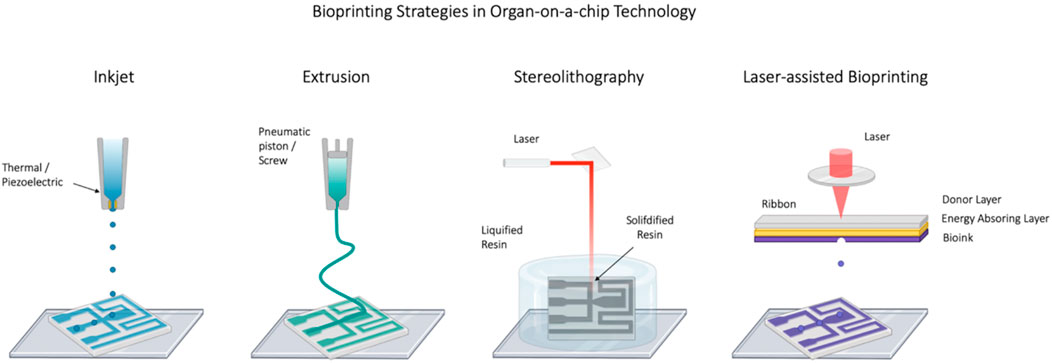 Frontiers | Recent Advances in Additive Manufacturing and 3D