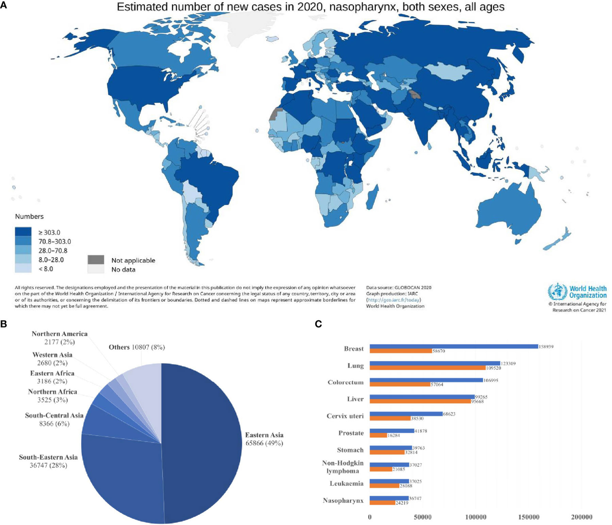 Mechanisms and Intervention of Prebiotic Foods in