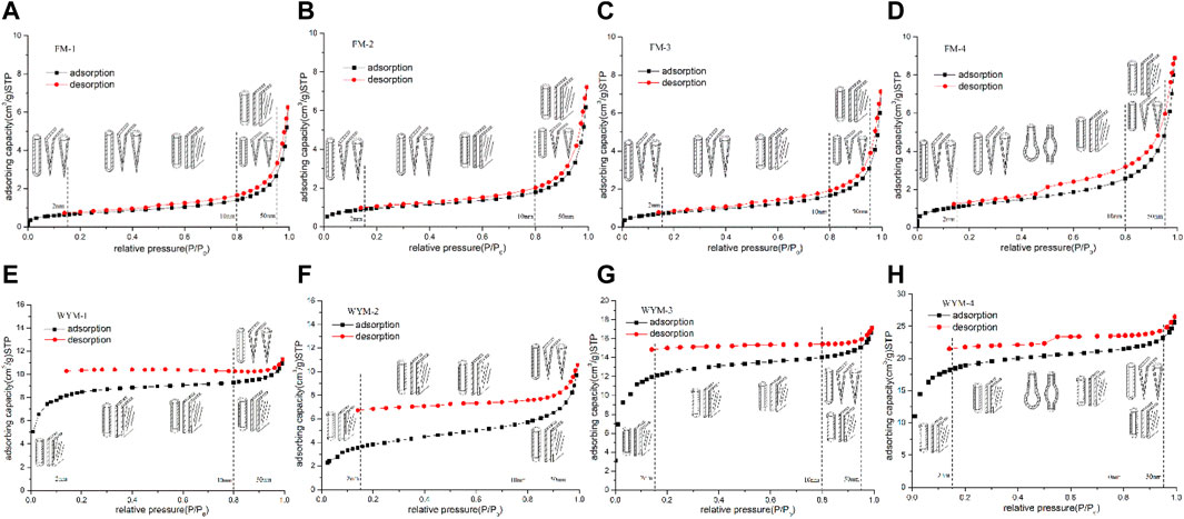 数量限定価格!! | Frontiers The of Structure Pore of Mechanism Influence シングルベッド