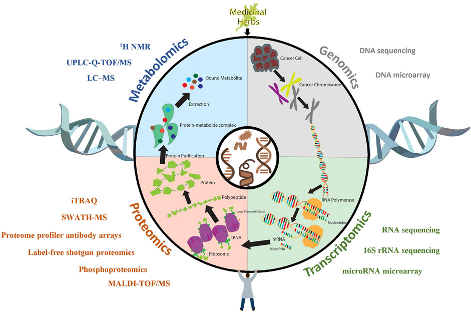 格安saleスタート ボ Frontiers in Plants Medicinal for Applications OMICS | その他