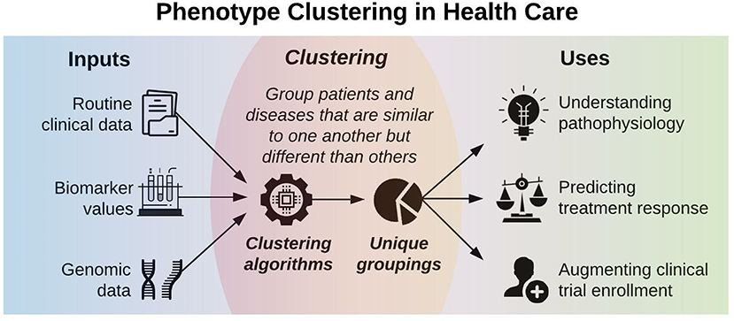 Frontiers | Phenotype clustering in health care: A narrative Frontiers | Phenotype clustering in health care: A narrative