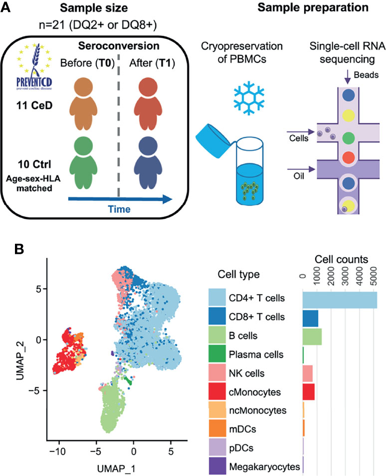 Single cell sequencing