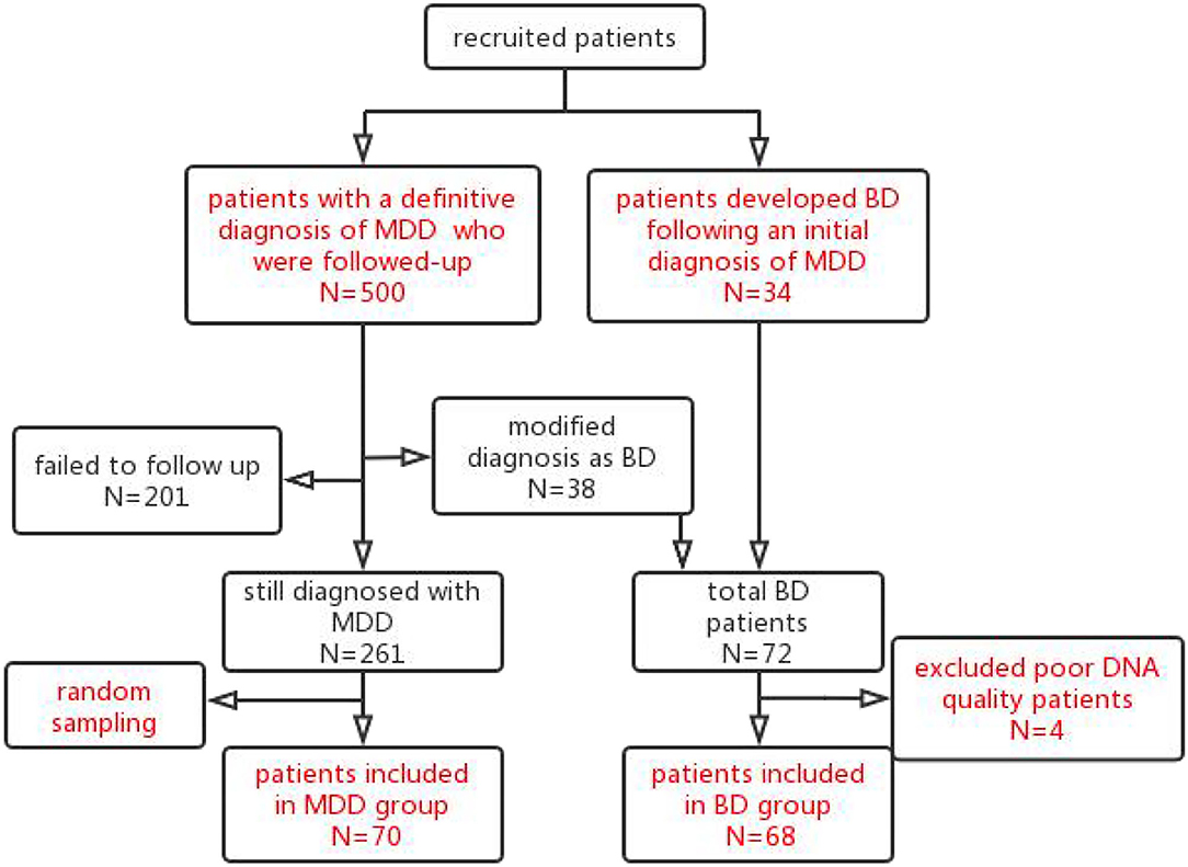 Frontiers | A Predictive Model of Risk Factors for