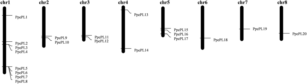 Frontiers | PpePL1 and PpePL15 Are the Core Members of the Frontiers | PpePL1 and PpePL15 Are the Core Members of the