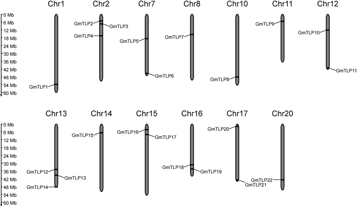 Frontiers | Comprehensive Profiling of Tubby-Like Proteins