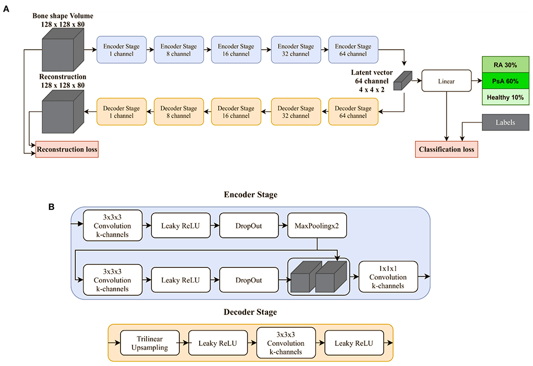 Frontiers | Deep Learning-Based Classification of Inflammatory ...