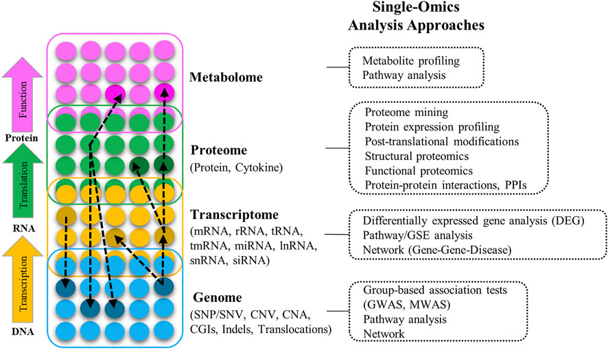 【国産】 Frontiers | Unsupervised Multi-Omics Data Integration 自然科学と技術