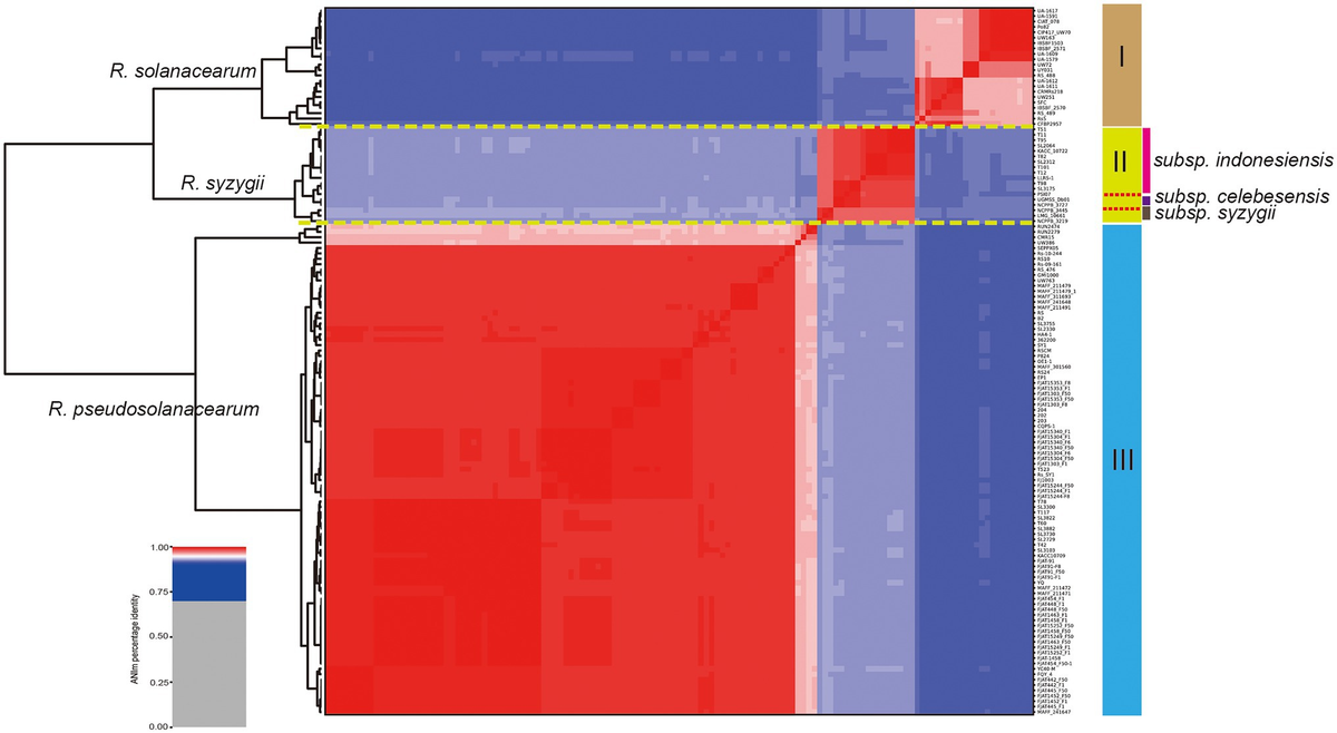 Frontiers | Comprehensive Analysis Reveals the Genetic and