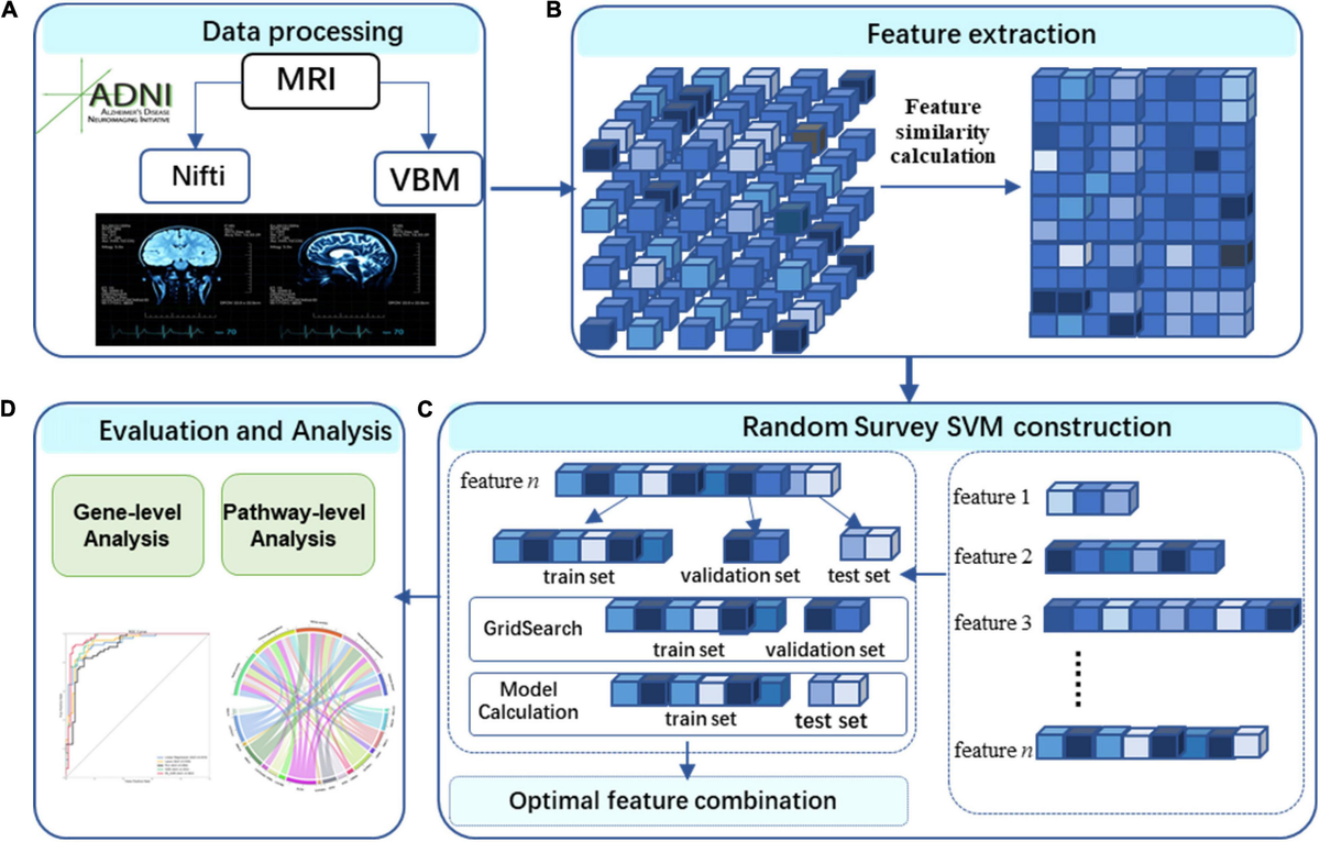 yu Clinical and Genetic Features of Dravet Syndrome: A Prime