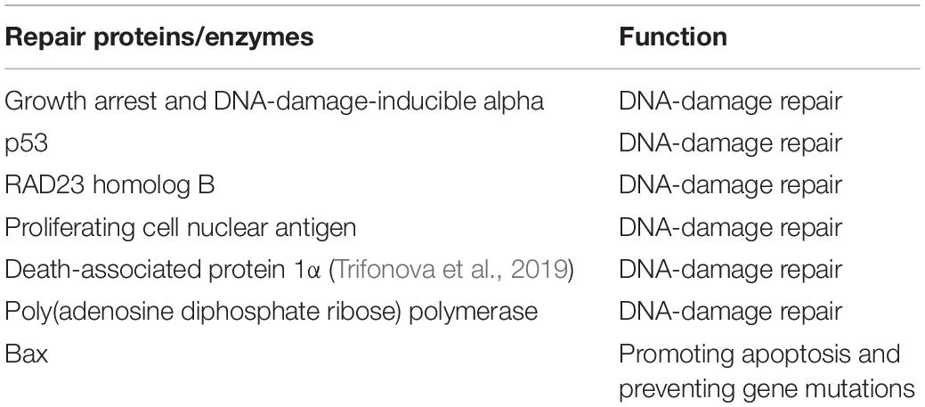 ベストセラー Frontiers | Research Progress on the Role of Vitamin D in パンツ