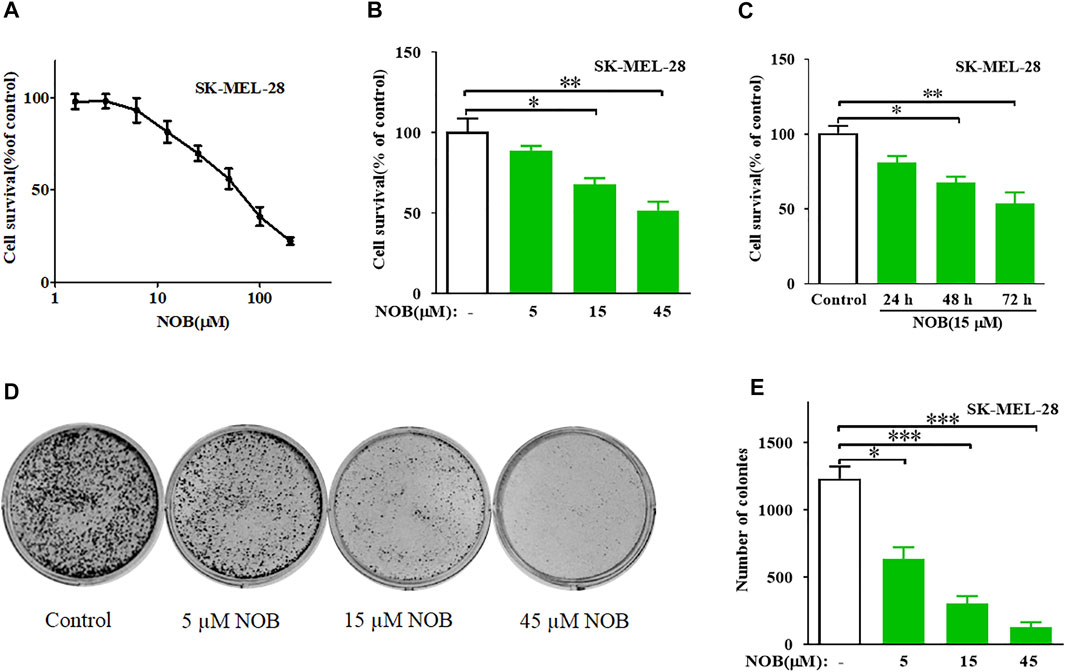 Frontiers | Nobiletin Induces Ferroptosis in Human Skin
