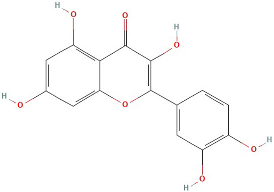 fphar-13-865376-g001.jpg