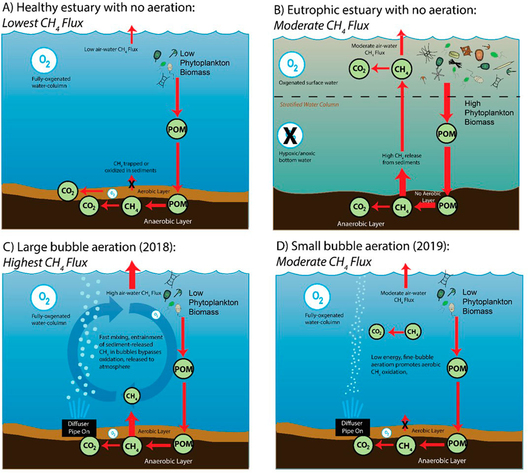 Frontiers | The Effects of Engineered Aeration on