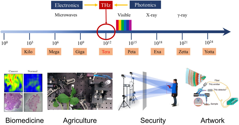 Frontiers | Applications of Terahertz Spectroscopy in the Detection and ...