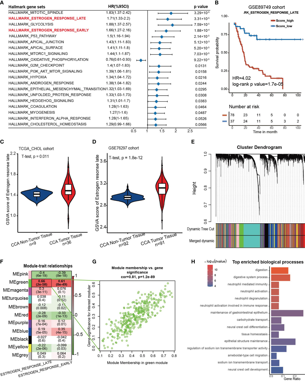 20セット　専用 fonc-12-870840-g001.jpg