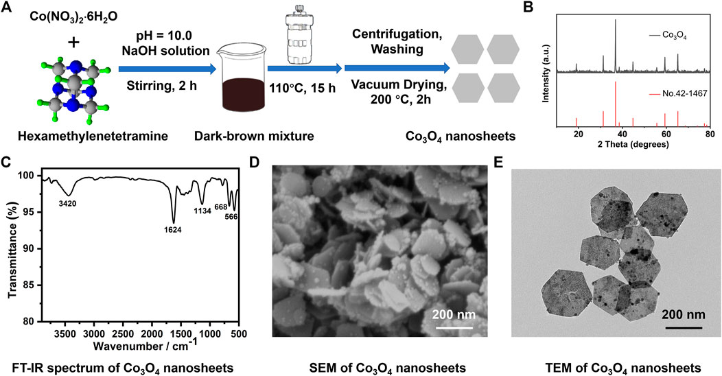 当店だけの限定モデル Colorimetric | Frontiers and Dual-Mode Fluorescence スカート