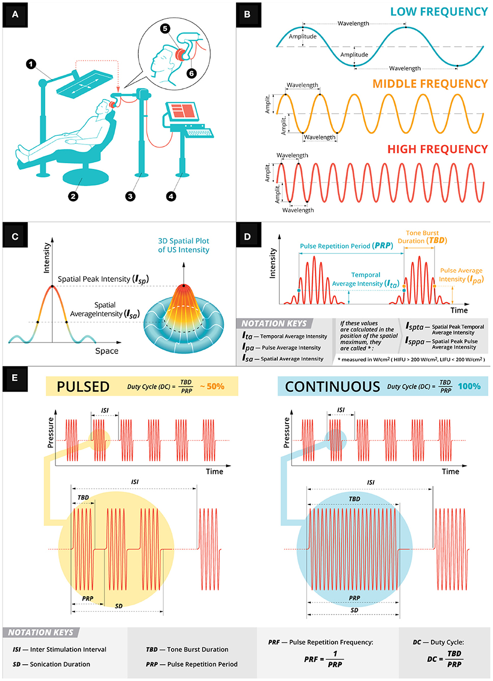 健康・医学 Focused Ultrasound Techniques Focused Ultrasound Techniques for the Small Animal