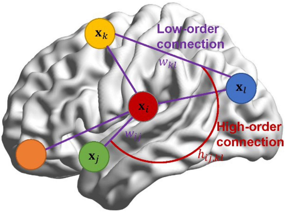 Frontiers | Estimating High-Order Brain Functional Networks