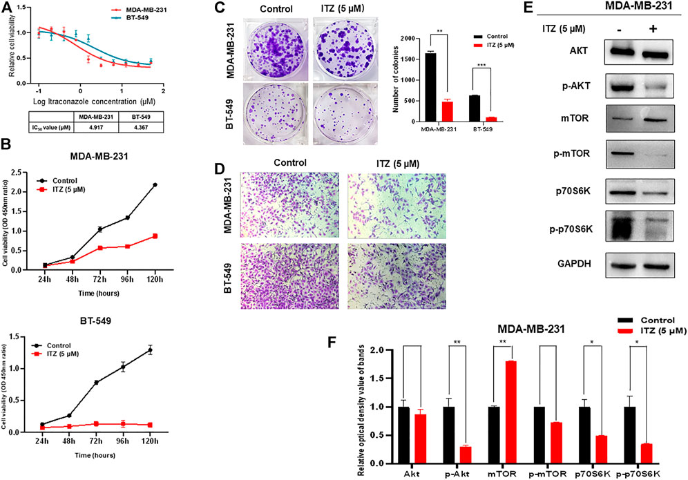 Frontiers | Induced Cell Cycle Arrest in Triple-Negative