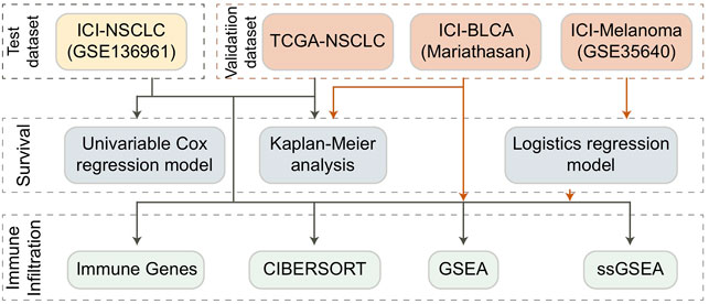 Frontiers | TCR Coexpression Signature Predicts