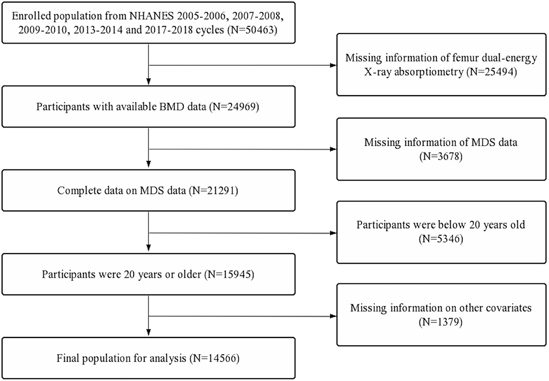 Frontiers | Associations of the Dietary Magnesium Intake and