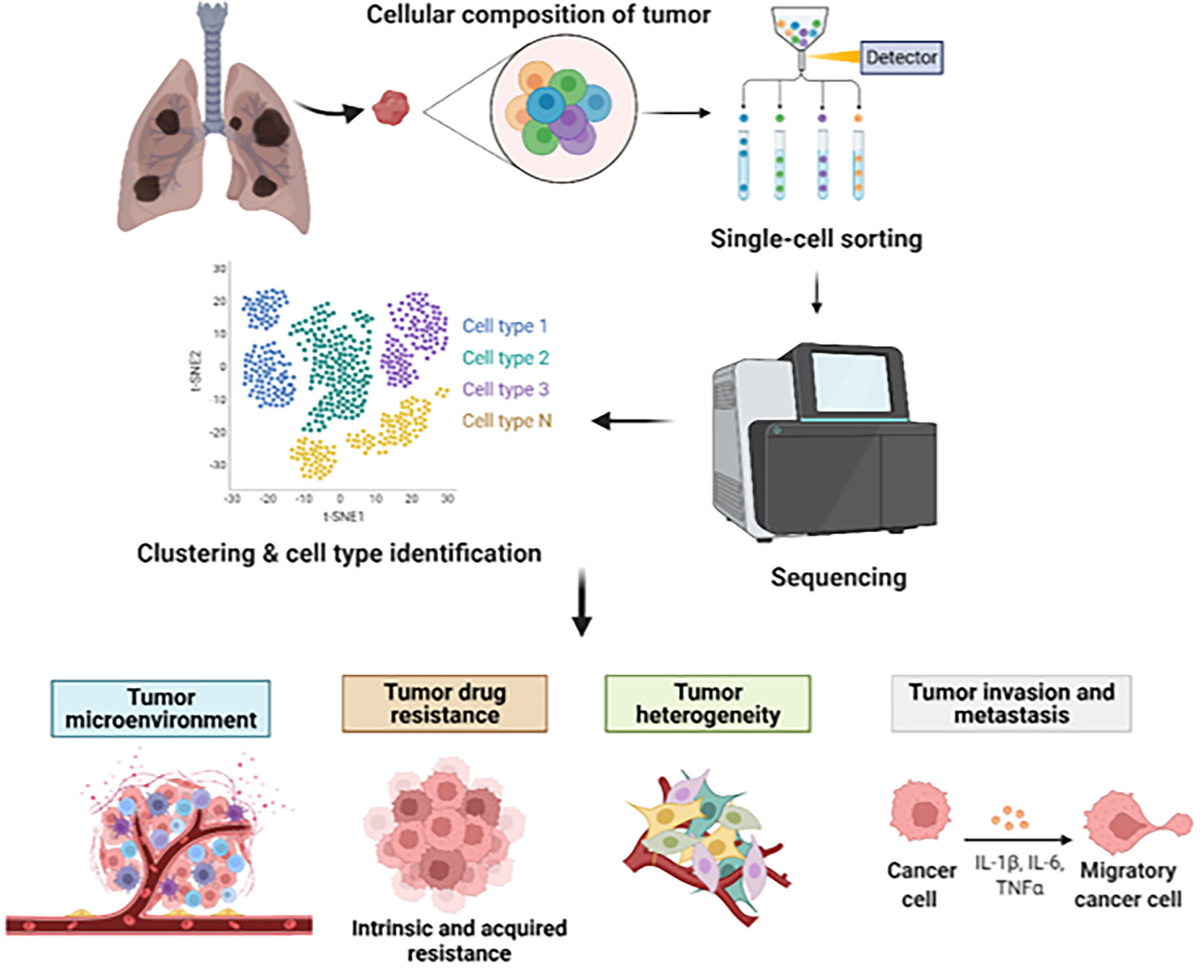 リリ様 Frontiers | Decoding Lung Cancer at Single-Cell Level