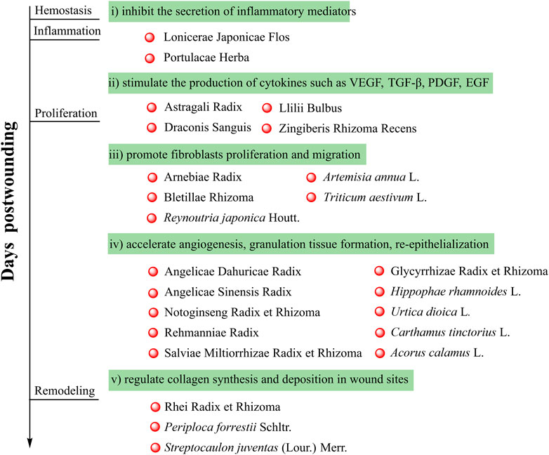 A Review on the Overall Performance of Metal Hydride-Based