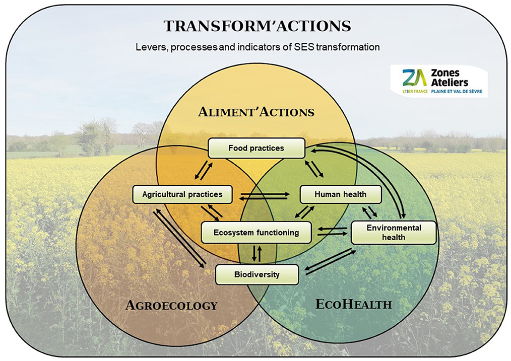 Frontiers | Setting-up place-based and transdisciplinary research to ...