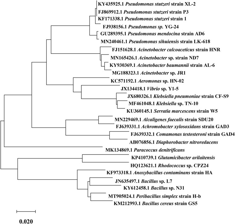 Frontiers | Advances in Research Into and Applications of