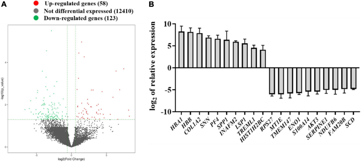 Frontiers Regulation of COL1A2, AKT3 genes, and related signaling