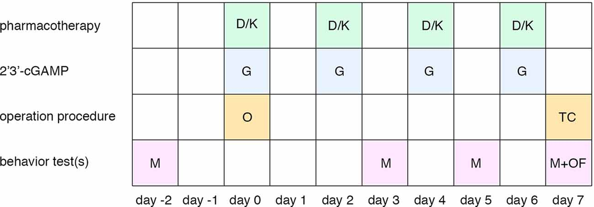 Frontiers | Dexmedetomidine and Ketamine Attenuated Frontiers | Dexmedetomidine and Ketamine Attenuated