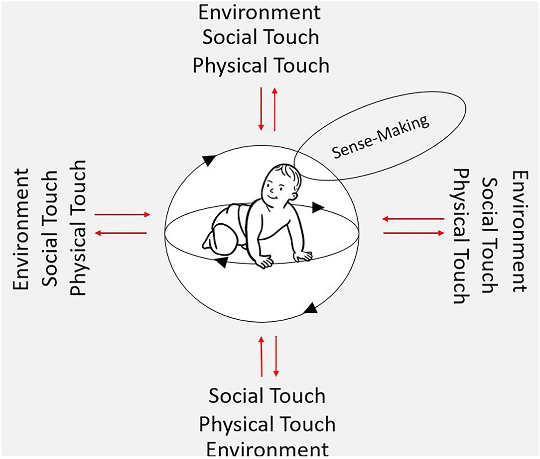 Frontiers | The Significance of Touch in Pediatric Physiotherapy