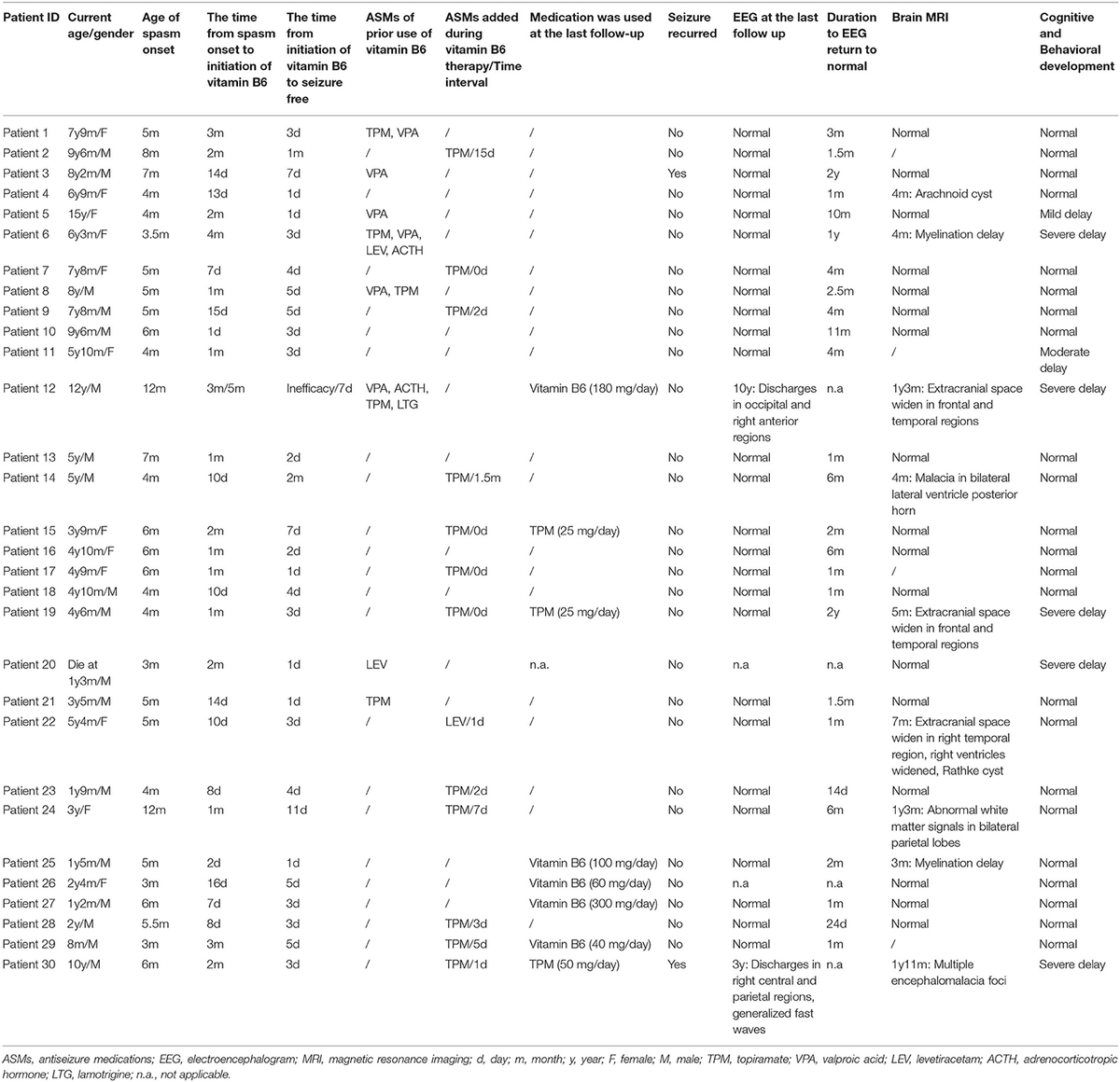 ブレイン　ホワイト Trotting Lantern 80116 | Other | Buy online at the Official