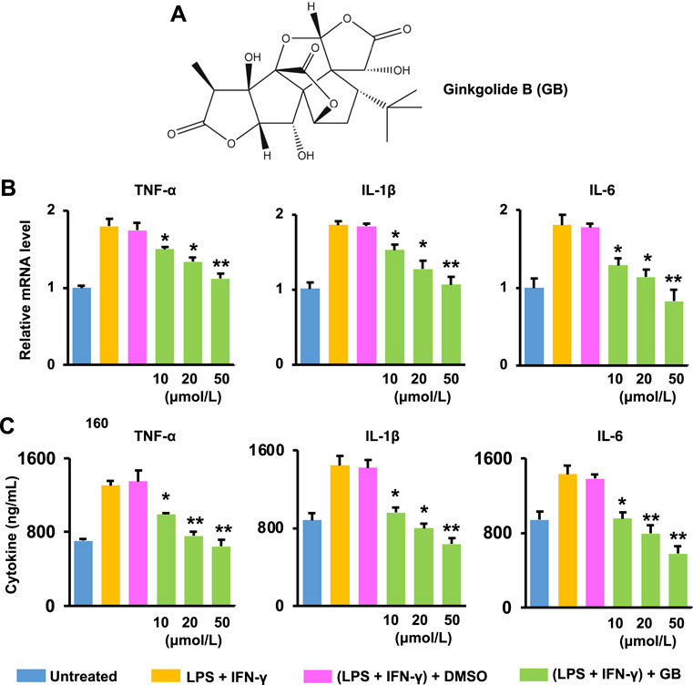 Frontiers | Local Administration of Ginkgolide B Using a Frontiers | Local Administration of Ginkgolide B Using a