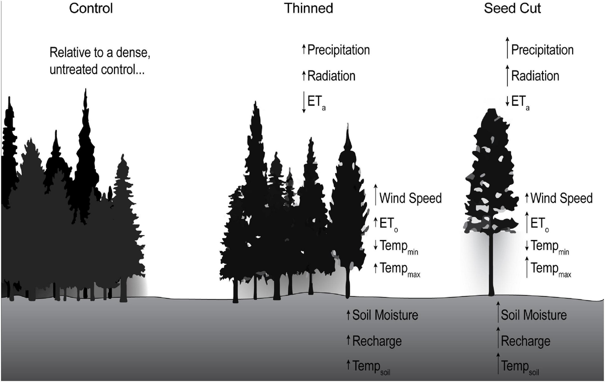 Frontiers | Soil moisture and micrometeorological differences across ...