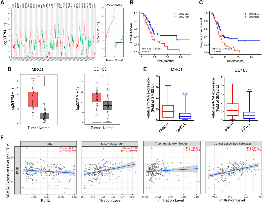 Frontiers | Sphingomyelin synthase 2 is a positive regulator