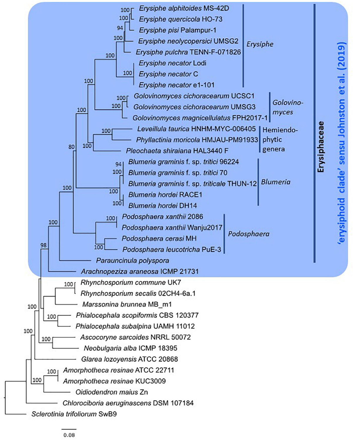 An Introduction to Molecular Evolution and Phylogenetics