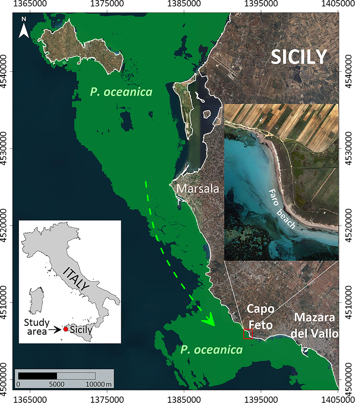 Structural and Stratigraphic Control on Salient and Recess Development  Along a Thrust Belt Front: The Northern Apennines (Po Plain, Italy) -  Livani - 2018 - Journal of Geophysical Research: Solid Earth - Wiley Online  Library, image size:1200x1362