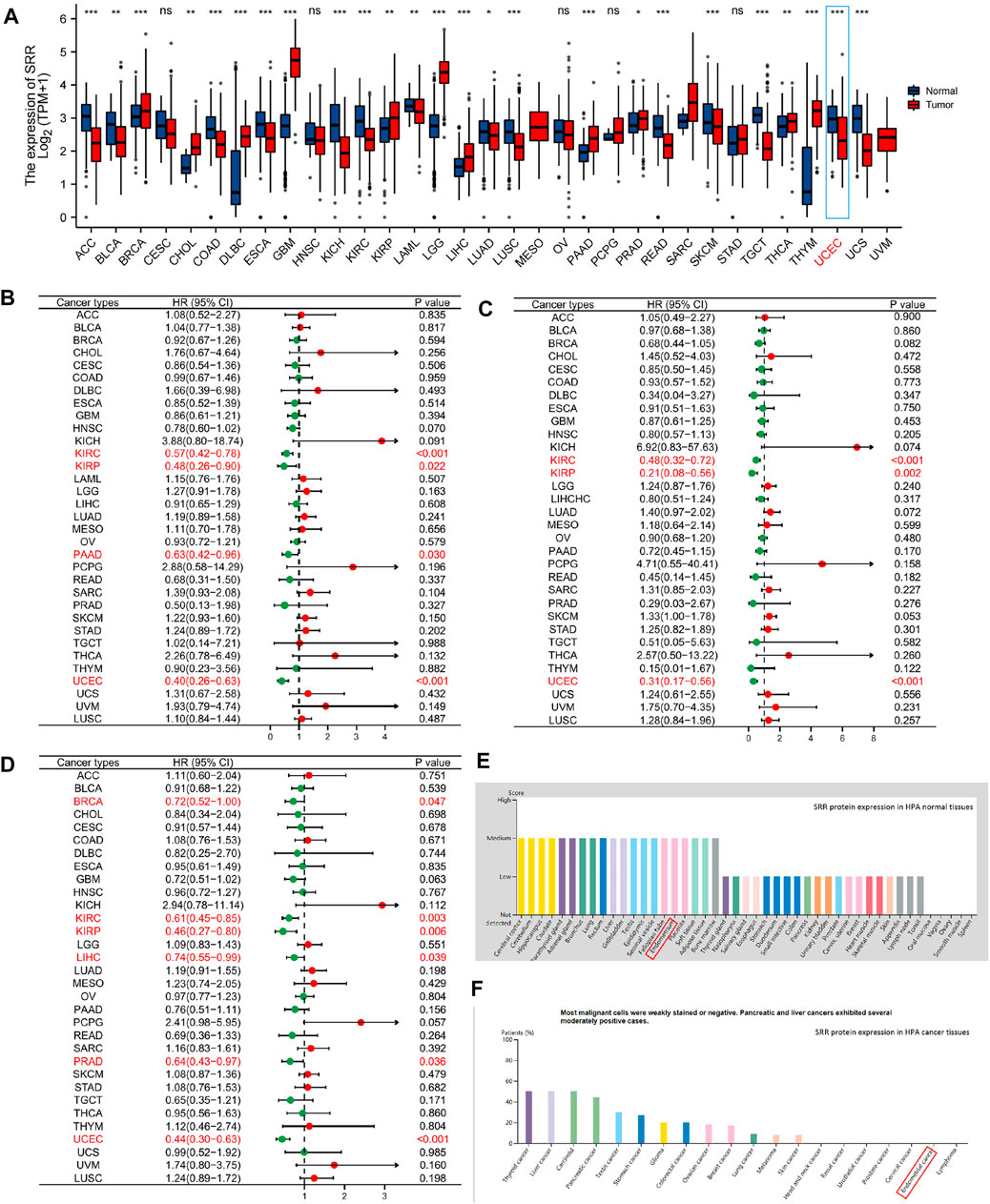 お歳暮 のし Frontiers | Serine of Analysis Bioinformatics Integrated 着物・浴衣