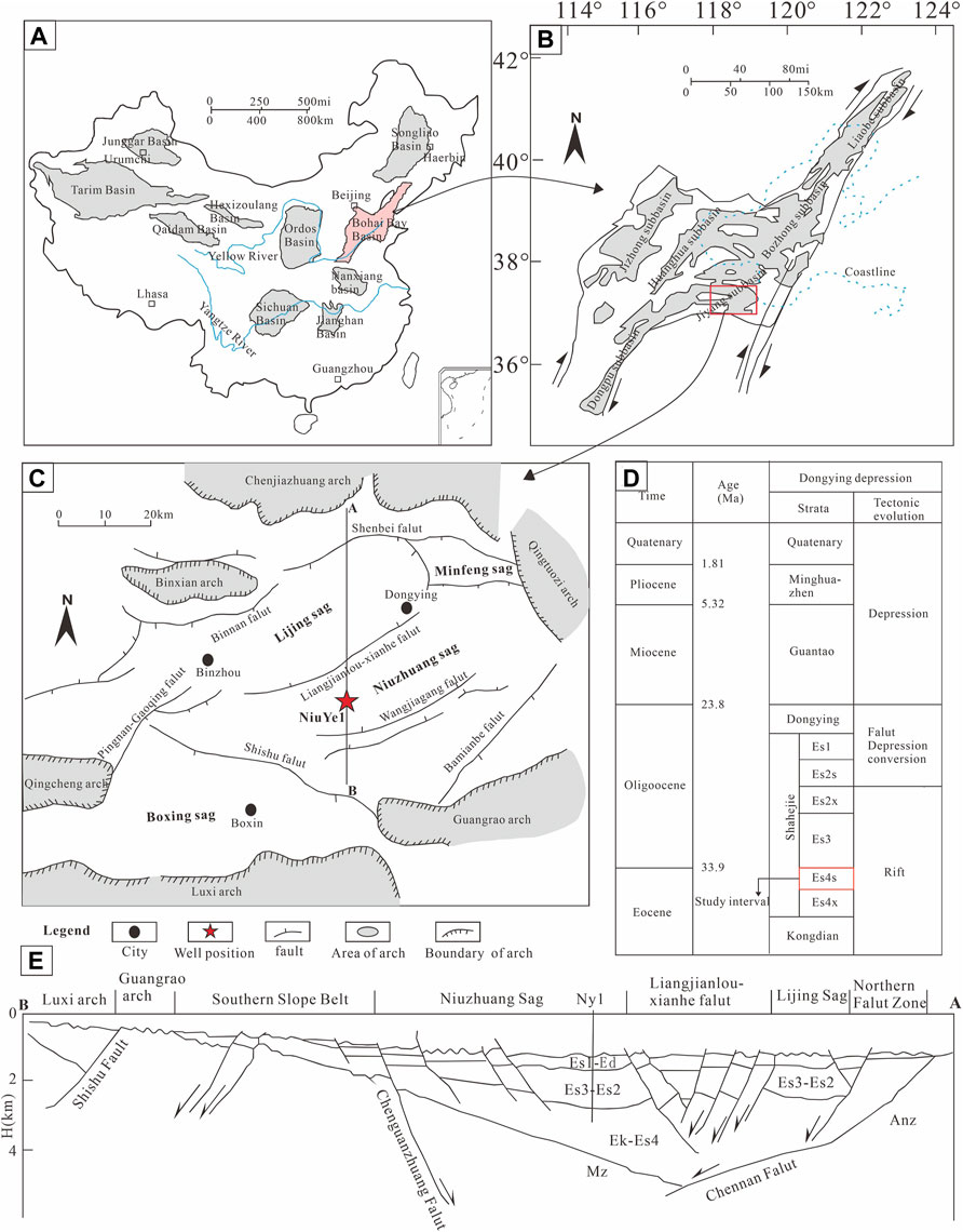 素晴らしい価格 | Frontiers Sequence Environment Depositional Stratigraphy, ジャケット・アウター